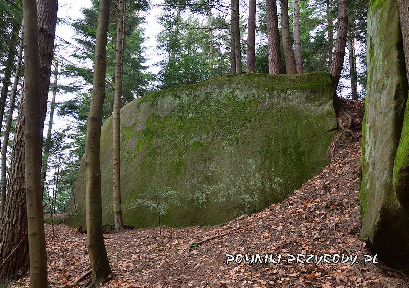 8. Wola Komborska - pomnikowa skała oznaczona tabliczką