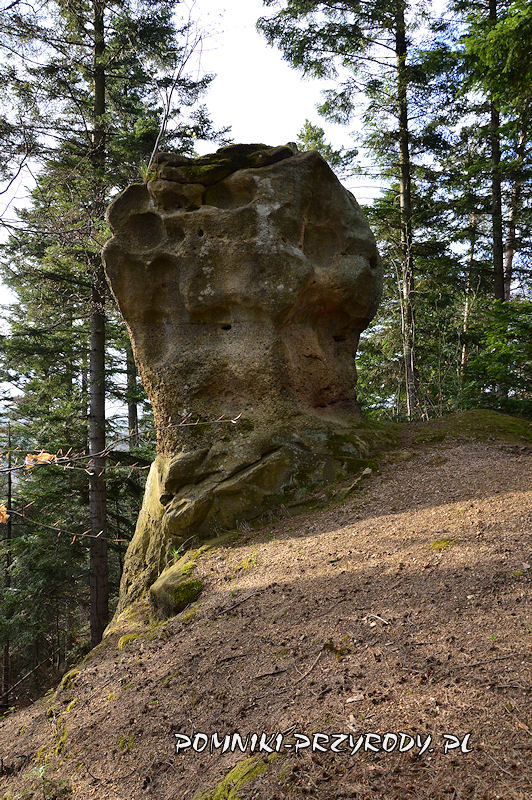 skałka Maczuga w Woli Komborskiej
