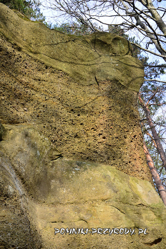 warstwy piaskowców i zlepieńców na skale Maczuga