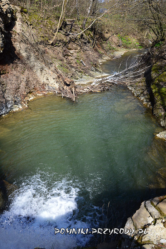 kocioł eworsyjny poniżej Wodospadu przy Młynie