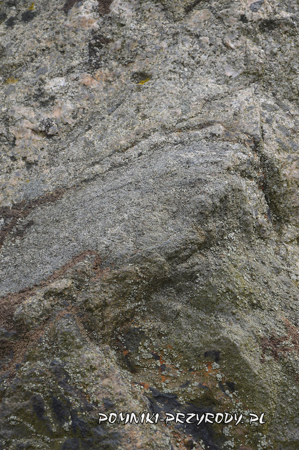 wycinek powierzchni pomnikowego eratyku z Gardzka