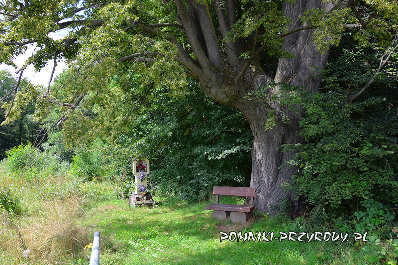 ławka i kapliczka przy pomnikowej lipie Zbigniew ławka i kapliczka przy pomnikowej lipie Zbigniew