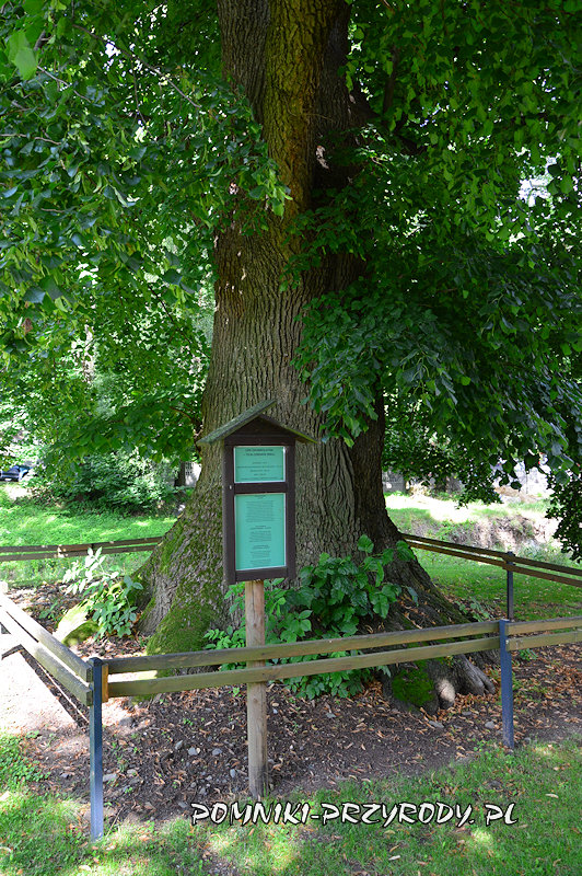 tablice przy pomnikowej lipie z Pokrzywnej tablice przy pomnikowej lipie z Pokrzywnej