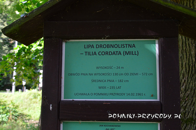 treść tablicy przy pomnikowej lipie z Pokrzywnej treść tablicy przy pomnikowej lipie z Pokrzywnej