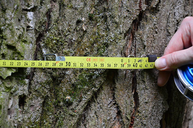 obwód Kromnowskiej Topoli obwód Kromnowskiej Topoli