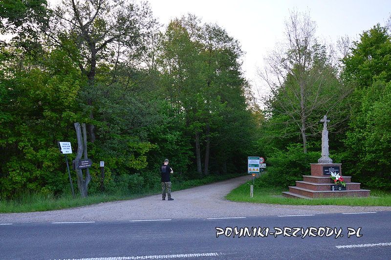 droga dojazdowa do powierzchniowego pomnika przyrody droga dojazdowa do powierzchniowego pomnika przyrody