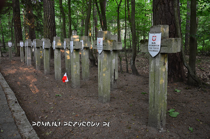leśnictwo Ościsłowo - krzyże w miejscu pamięci leśnictwo Ościsłowo - krzyże w miejscu pamięci