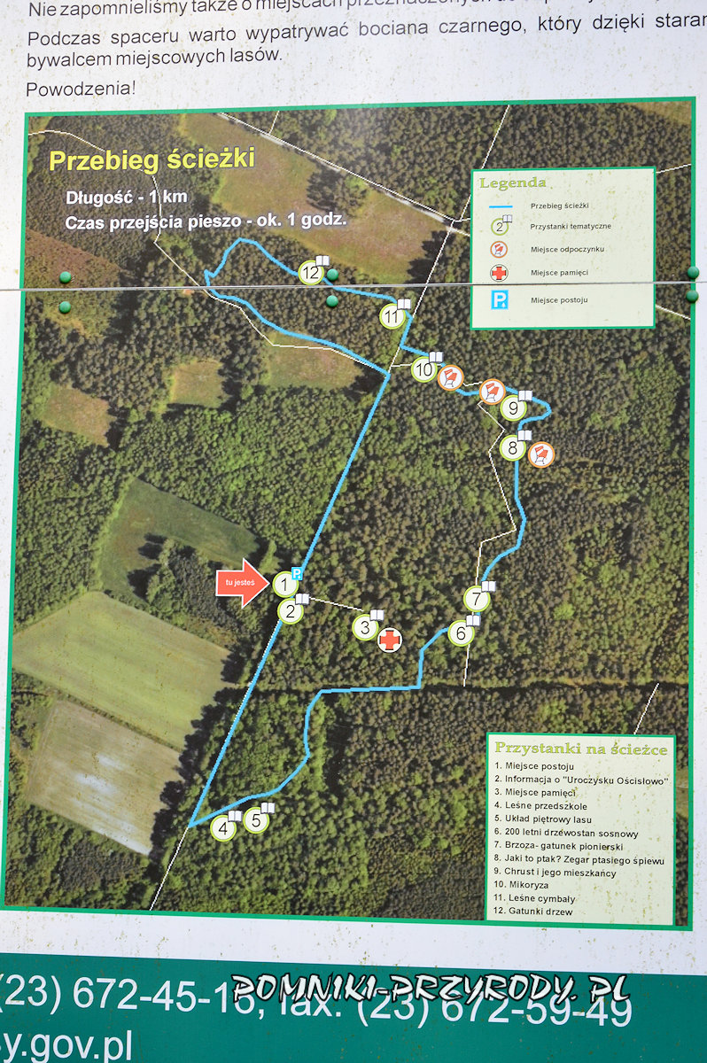 mapa ścieżki edukacyjnej w Uroczysku Ościsłowo mapa ścieżki edukacyjnej w Uroczysku Ościsłowo
