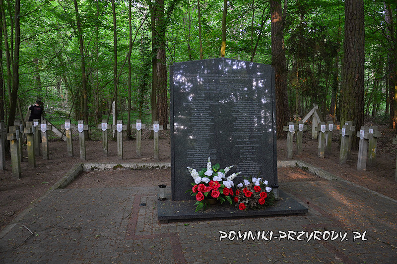 miejsce pamięci otoczone przez wiekowe sosny miejsce pamięci otoczone przez wiekowe sosny