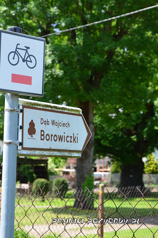 drogowskaz do dębu Wojciech drogowskaz do dębu Wojciech